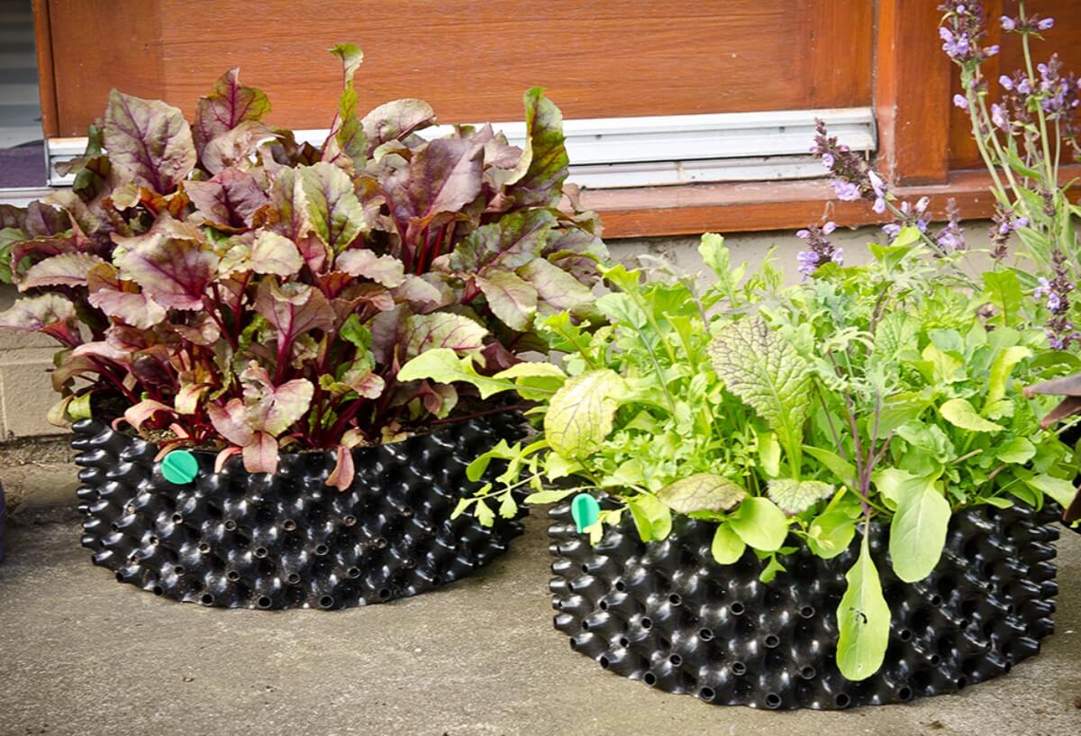Air-Pot Garden Starter Pack Lettuce Tray