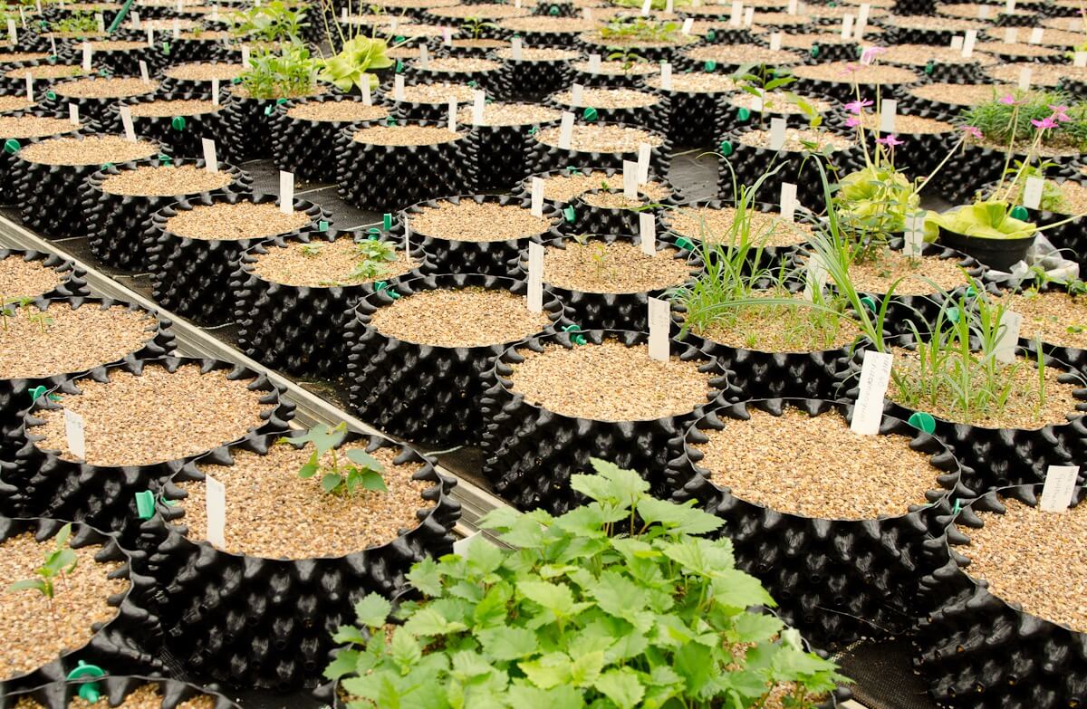 Air-Pot Garden Small Seed Tray Faraway